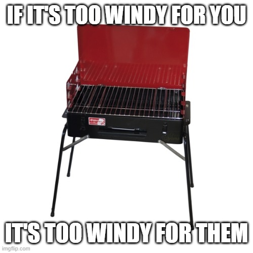 Too windy |  IF IT'S TOO WINDY FOR YOU; IT'S TOO WINDY FOR THEM | image tagged in grill,wind,tornado,pets,funny | made w/ Imgflip meme maker