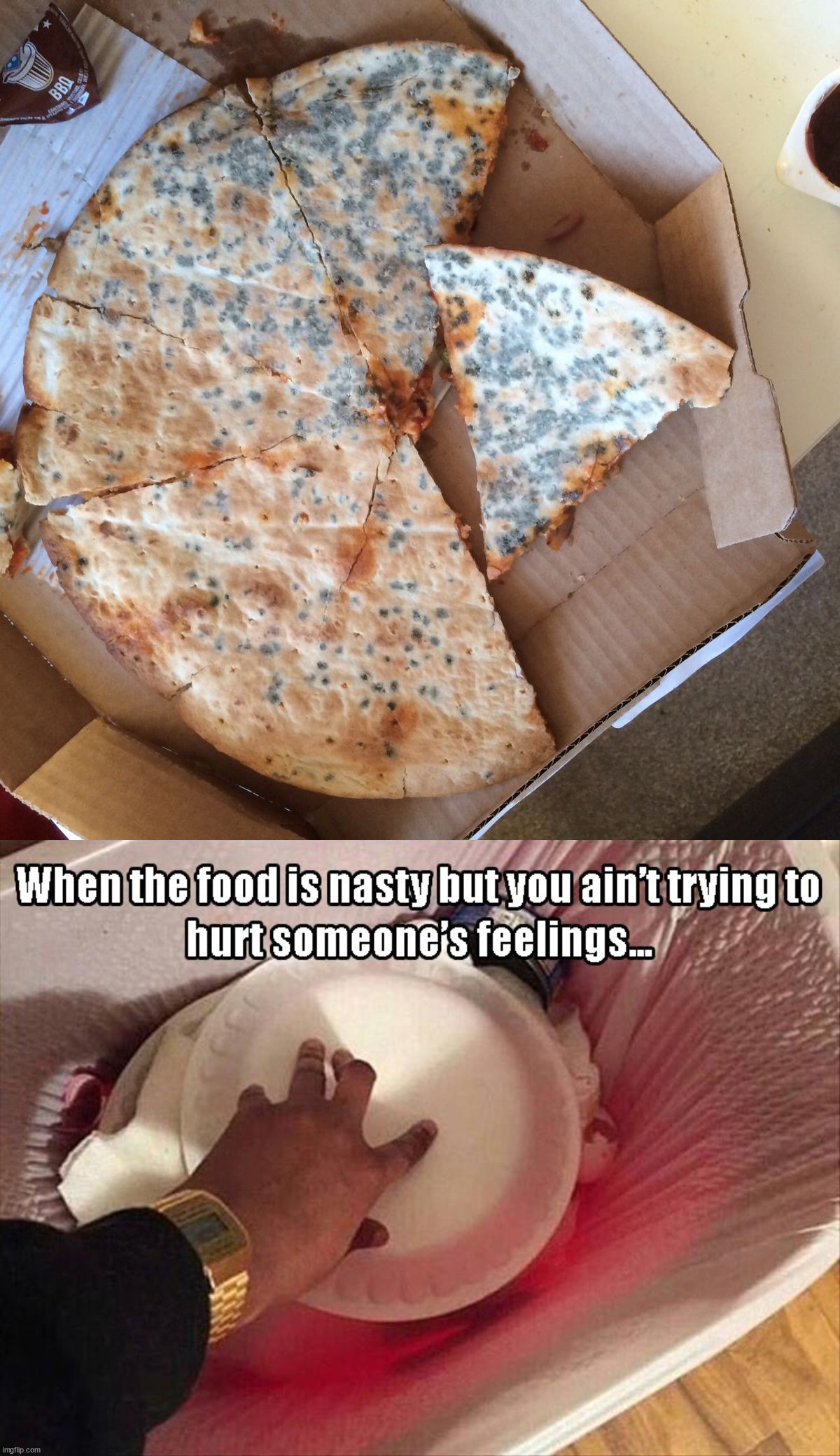 image tagged in mouldy pizza,food | made w/ Imgflip meme maker
