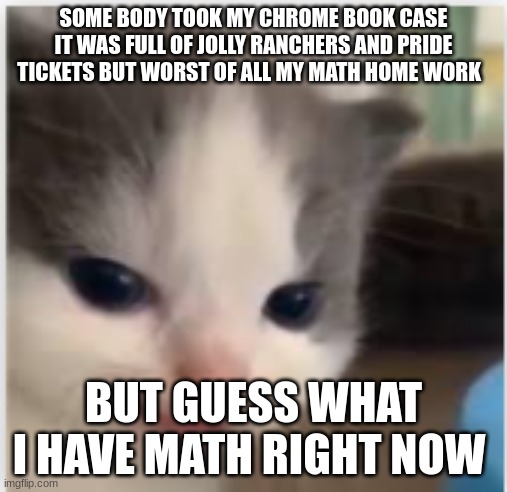 beanz | SOME BODY TOOK MY CHROME BOOK CASE IT WAS FULL OF JOLLY RANCHERS AND PRIDE TICKETS BUT WORST OF ALL MY MATH HOME WORK; BUT GUESS WHAT I HAVE MATH RIGHT NOW | image tagged in hangry | made w/ Imgflip meme maker