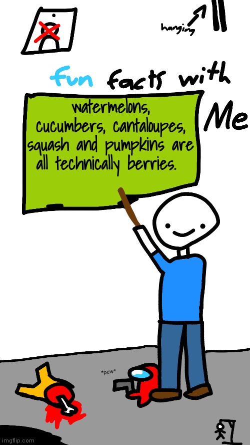 fun facts with me #3 | watermelons, cucumbers, cantaloupes, squash and pumpkins are all technically berries. | image tagged in fun facts with me | made w/ Imgflip meme maker