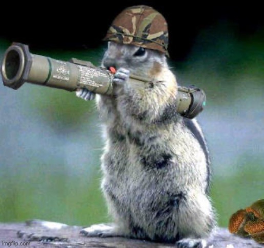 Tyler | image tagged in memes,bazooka squirrel | made w/ Imgflip meme maker