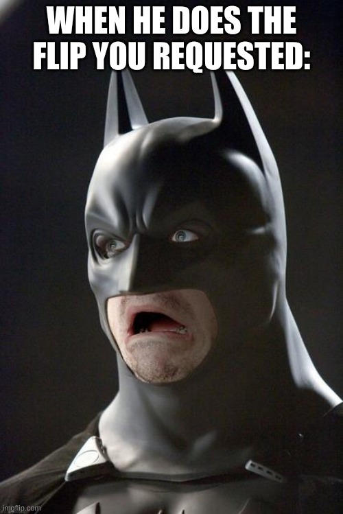 Batman Gasp | WHEN HE DOES THE FLIP YOU REQUESTED: | image tagged in batman gasp | made w/ Imgflip meme maker