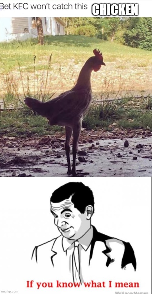 tall chicken legs = fast chicken | CHICKEN | image tagged in if you know what i mean | made w/ Imgflip meme maker