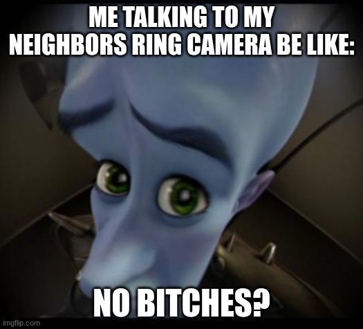 true tho | ME TALKING TO MY NEIGHBORS RING CAMERA BE LIKE:; NO BITCHES? | image tagged in no bitches | made w/ Imgflip meme maker