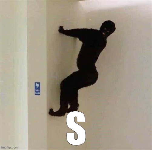 S | made w/ Imgflip meme maker