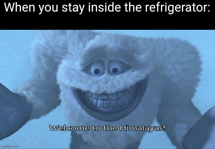 Welcome to the himalayas |  When you stay inside the refrigerator: | image tagged in welcome to the himalayas,refrigerator,memes,fridge,monsters inc,funny | made w/ Imgflip meme maker