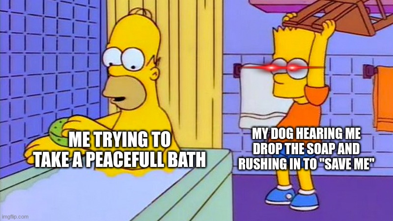 bart hitting homer with a chair | MY DOG HEARING ME DROP THE SOAP AND RUSHING IN TO "SAVE ME"; ME TRYING TO TAKE A PEACEFULL BATH | image tagged in bart hitting homer with a chair | made w/ Imgflip meme maker