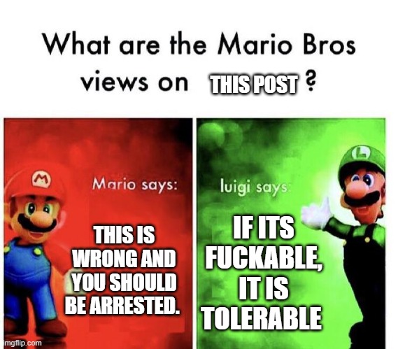 Mario Bros Views | THIS IS WRONG AND YOU SHOULD BE ARRESTED. IF ITS FUCKABLE, IT IS TOLERABLE THIS POST | image tagged in mario bros views | made w/ Imgflip meme maker