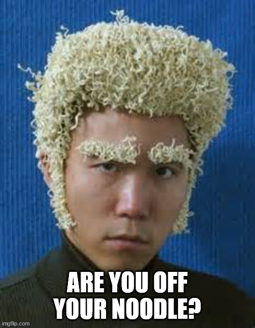 Ramen Noodle | ARE YOU OFF YOUR NOODLE? | image tagged in ramen noodle | made w/ Imgflip meme maker