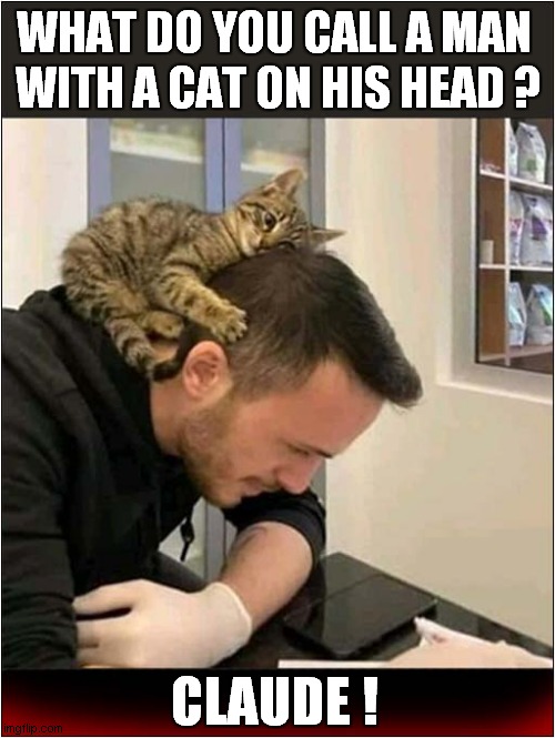 A Silly Joke ! | WHAT DO YOU CALL A MAN 
WITH A CAT ON HIS HEAD ? CLAUDE ! | image tagged in cats,claude,clawed | made w/ Imgflip meme maker