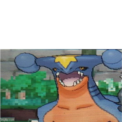 surprised garchomp | image tagged in memes | made w/ Imgflip meme maker