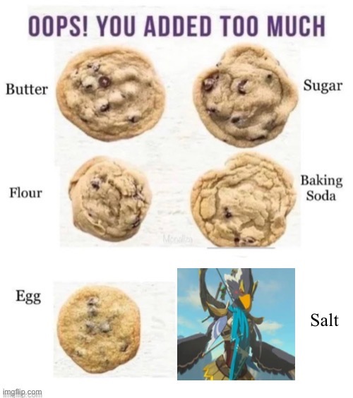 Saltyyy | image tagged in botw | made w/ Imgflip meme maker