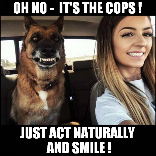 Suspicious Behaviour ? | OH NO -  IT'S THE COPS ! JUST ACT NATURALLY
 AND SMILE ! | image tagged in suspicious,police,smile | made w/ Imgflip meme maker