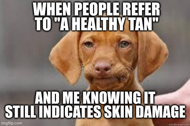 No such thing as a healthy tan | WHEN PEOPLE REFER TO "A HEALTHY TAN"; AND ME KNOWING IT STILL INDICATES SKIN DAMAGE | image tagged in disappointed dog | made w/ Imgflip meme maker