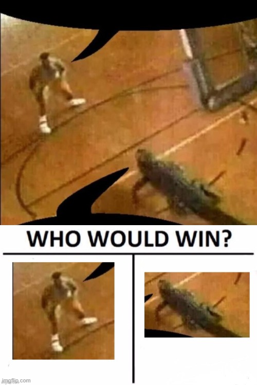 basketball player or alligator? | image tagged in basketball player vs alligator | made w/ Imgflip meme maker