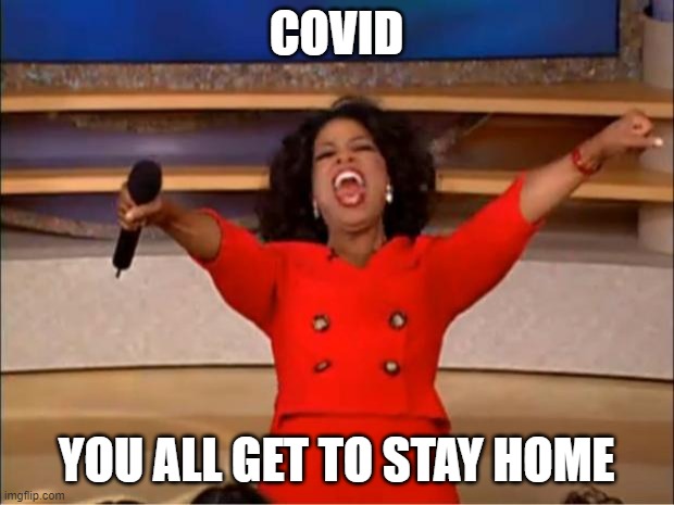 Oprah You Get A Meme | COVID; YOU ALL GET TO STAY HOME | image tagged in memes,oprah you get a | made w/ Imgflip meme maker