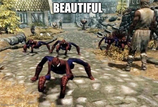Yes | BEAUTIFUL | image tagged in skyrim mod | made w/ Imgflip meme maker