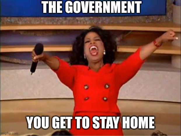Oprah You Get A Meme | THE GOVERNMENT YOU GET TO STAY HOME | image tagged in memes,oprah you get a | made w/ Imgflip meme maker