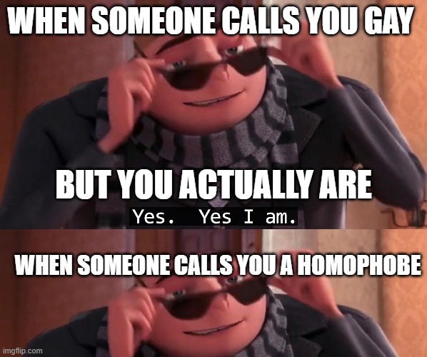 Homophobe is no longer an insult to me, you haters!!!!!!!!!!!!!!!!!!!!! | WHEN SOMEONE CALLS YOU GAY; BUT YOU ACTUALLY ARE; WHEN SOMEONE CALLS YOU A HOMOPHOBE | image tagged in gru yes yes i am | made w/ Imgflip meme maker