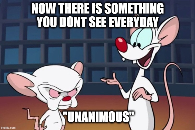 Same thing we do every day pinky | NOW THERE IS SOMETHING YOU DONT SEE EVERYDAY; "UNANIMOUS" | image tagged in same thing we do every day pinky | made w/ Imgflip meme maker