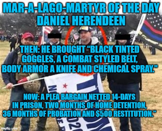 Case closed! | MAR-A-LAGO-MARTYR OF THE DAY
DANIEL HERENDEEN; THEN: HE BROUGHT “BLACK TINTED GOGGLES, A COMBAT STYLED BELT, BODY ARMOR A KNIFE AND CHEMICAL SPRAY."; NOW: A PLEA BARGAIN NETTED 14-DAYS IN PRISON, TWO MONTHS OF HOME DETENTION, 36 MONTHS OF PROBATION AND $500 RESTITUTION." | image tagged in politics | made w/ Imgflip meme maker