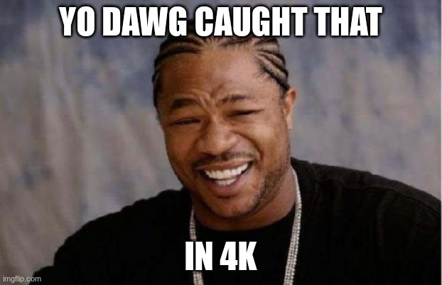 Send this to those who need it | YO DAWG CAUGHT THAT; IN 4K | image tagged in memes,yo dawg heard you | made w/ Imgflip meme maker