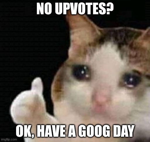 check out my memes please |  NO UPVOTES? OK, HAVE A GOOG DAY | image tagged in sad thumbs up cat | made w/ Imgflip meme maker