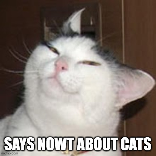 smug cat | SAYS NOWT ABOUT CATS | image tagged in smug cat | made w/ Imgflip meme maker