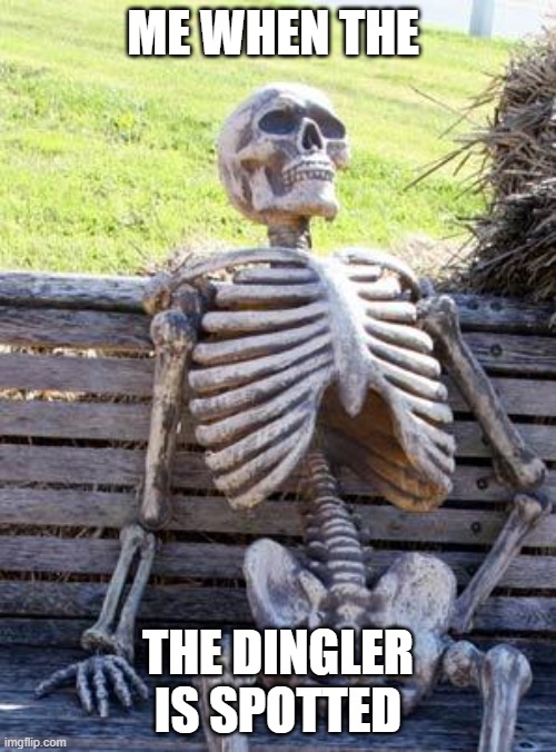 dingle want vengeance | ME WHEN THE; THE DINGLER IS SPOTTED | image tagged in memes,waiting skeleton | made w/ Imgflip meme maker