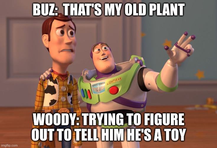 :) | BUZ:  THAT'S MY OLD PLANT; WOODY: TRYING TO FIGURE OUT TO TELL HIM HE'S A TOY | image tagged in memes,x x everywhere | made w/ Imgflip meme maker