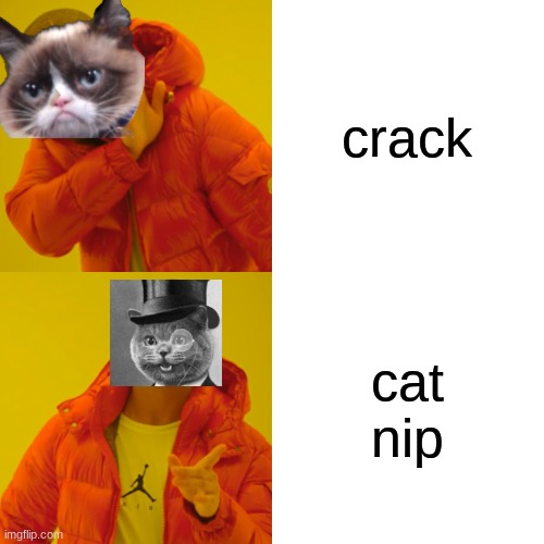 cat is cool | crack; cat nip | image tagged in memes,drake hotline bling,mateus | made w/ Imgflip meme maker