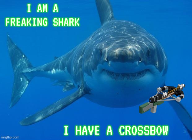 Crossbow shark |  I AM A FREAKING SHARK; I HAVE A CROSSBOW | image tagged in straight white shark,vt323 font looks good,i like vt323 font | made w/ Imgflip meme maker