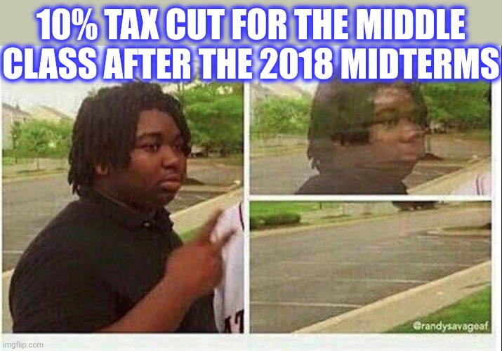 Black guy disappearing | 10% TAX CUT FOR THE MIDDLE CLASS AFTER THE 2018 MIDTERMS | image tagged in black guy disappearing | made w/ Imgflip meme maker