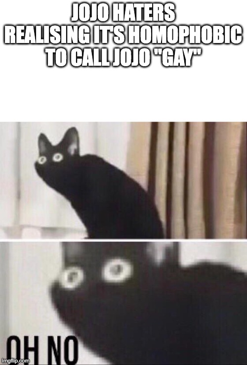 Oh no cat | JOJO HATERS REALISING IT'S HOMOPHOBIC TO CALL JOJO "GAY" | image tagged in oh no cat | made w/ Imgflip meme maker