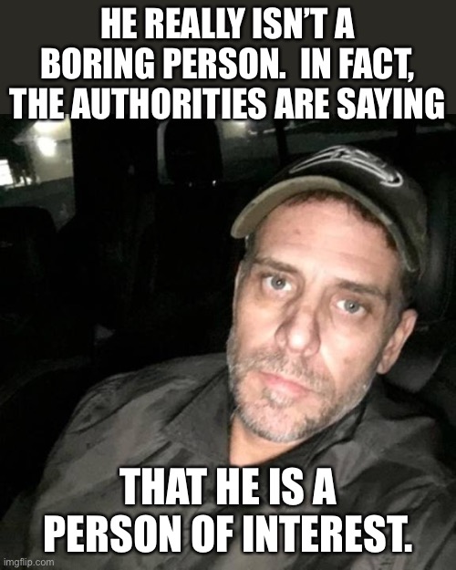 Hunter | HE REALLY ISN’T A BORING PERSON.  IN FACT, THE AUTHORITIES ARE SAYING; THAT HE IS A PERSON OF INTEREST. | image tagged in meth head hunter biden | made w/ Imgflip meme maker