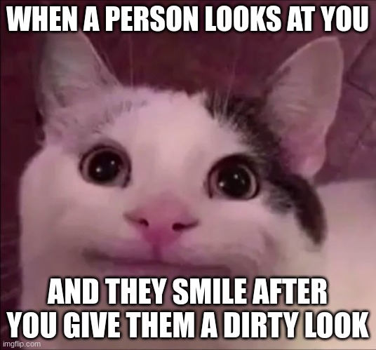 Awkward Smile Cat | WHEN A PERSON LOOKS AT YOU; AND THEY SMILE AFTER YOU GIVE THEM A DIRTY LOOK | image tagged in awkward smile cat | made w/ Imgflip meme maker