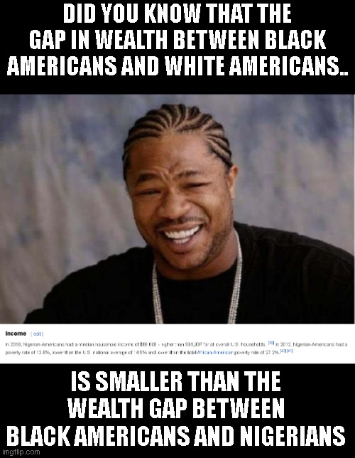 Apparently you can be sooo black that 'institutional racism' can't see you.. | DID YOU KNOW THAT THE GAP IN WEALTH BETWEEN BLACK AMERICANS AND WHITE AMERICANS.. IS SMALLER THAN THE WEALTH GAP BETWEEN BLACK AMERICANS AND NIGERIANS | image tagged in memes,yo dawg heard you | made w/ Imgflip meme maker