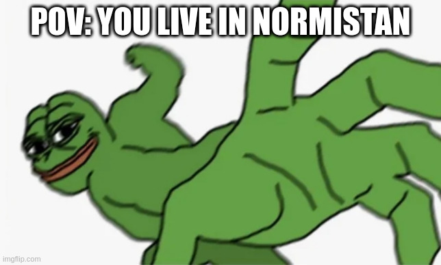 pepe punch | POV: YOU LIVE IN NORMISTAN | image tagged in pepe punch | made w/ Imgflip meme maker
