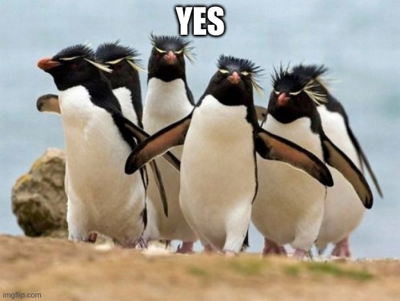 Penguin Gang | YES | image tagged in memes,penguin gang | made w/ Imgflip meme maker