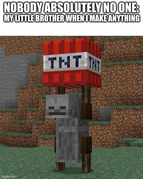 its true | NOBODY ABSOLUTELY NO ONE:; MY LITTLE BROTHER WHEN I MAKE ANYTHING | image tagged in tnt yeeter | made w/ Imgflip meme maker