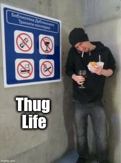 We don't need no stinkin' signs | Thug
      Life | image tagged in rebel,no i don't think i will,so you mean to tell me,how about no bear | made w/ Imgflip meme maker