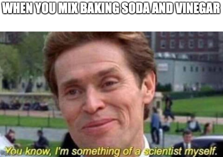 wow! | WHEN YOU MIX BAKING SODA AND VINEGAR | image tagged in willem dafoe scientist,funny,memes,fun,science | made w/ Imgflip meme maker