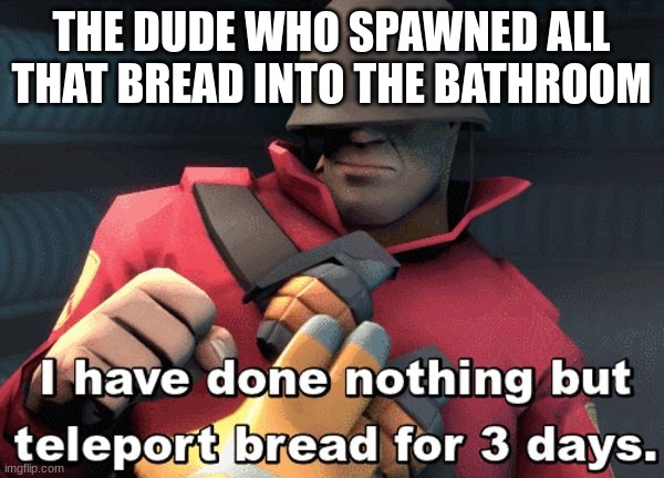 I have done nothing but teleport bread for 3 days | THE DUDE WHO SPAWNED ALL THAT BREAD INTO THE BATHROOM | image tagged in i have done nothing but teleport bread for 3 days | made w/ Imgflip meme maker