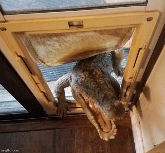Honey I'm Home | image tagged in honey i'm home | made w/ Imgflip meme maker