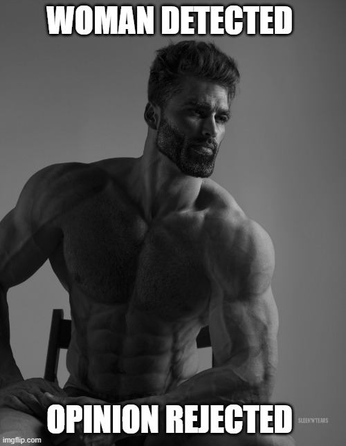 Giga Chad | WOMAN DETECTED OPINION REJECTED | image tagged in giga chad | made w/ Imgflip meme maker