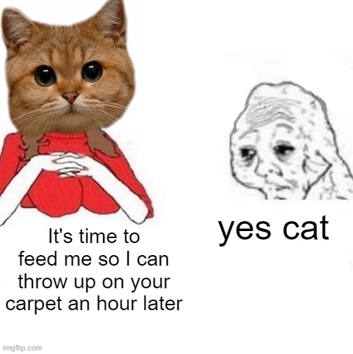 Yes Honey | yes cat; It's time to feed me so I can throw up on your carpet an hour later | image tagged in yes honey | made w/ Imgflip meme maker