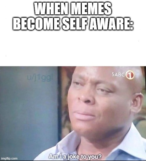 When Memes Become Self-Aware | WHEN MEMES BECOME SELF AWARE: | image tagged in am i a joke to you,memes,sorry,jokes,meta,oh no | made w/ Imgflip meme maker