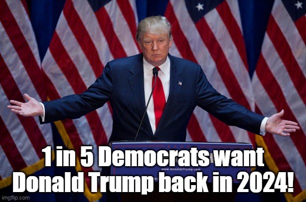 The Democrat Party has never been more heinous than they are now- bye bye in 2022/24! | 1 in 5 Democrats want Donald Trump back in 2024! | image tagged in donald trump,polls,thank you,creepy joe biden,real life | made w/ Imgflip meme maker