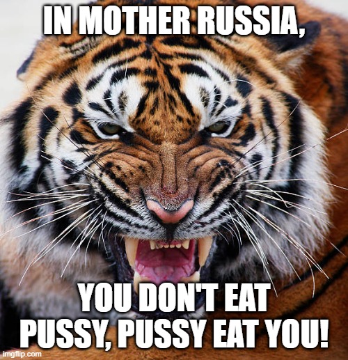 6bsm2u.jpg