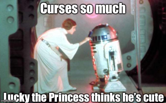 R2 cursing | Curses so much Lucky the Princess thinks he’s cute | image tagged in leia-r2d2 | made w/ Imgflip meme maker
